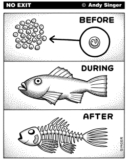 BEFORE DURING AFTER by Andy Singer