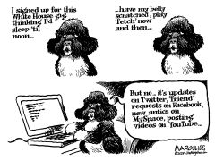 WHITE HOUSE DOG BO by Jimmy Margulies