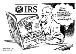TAX LOOPHOLES by Jimmy Margulies