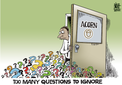 ACORN QUESTIONS,  by Randy Bish