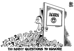 ACORN QUESTIONS, B/W by Randy Bish