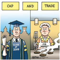 REAL CAP AND TRADE- by RJ Matson