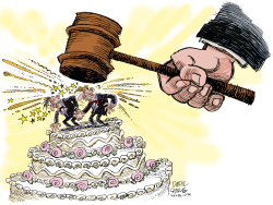 COURT STRIKES DOWN GAY MARRIAGE  by Daryl Cagle
