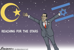 REACHING FOR THE STARS by Steve Greenberg