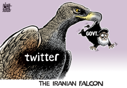 IRANIAN FALCON,  by Randy Bish