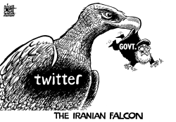 IRANIAN FALCON, B/W by Randy Bish