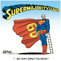 SUPERMAJORITY LEADER by R.J. Matson