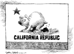 CALIFORNIA BUDGET AND IOUS by Daryl Cagle