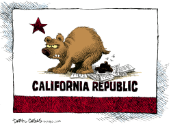 CALIFORNIA BUDGET AND IOUS  by Daryl Cagle