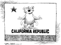 CALIFORNIA IS BROKE by Daryl Cagle