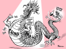 GROWTH IN CHINA by Paresh Nath