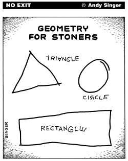 GEOMETRY FOR STONERS by Andy Singer