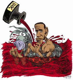 OBAMA AND RED INK by Daryl Cagle