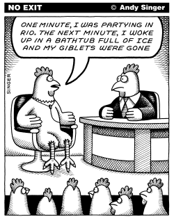 CHICKEN TALK SHOWS by Andy Singer