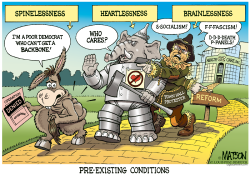 PRE-EXISTING CONDITIONS- by R.J. Matson