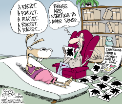 DEMS SEE RACISM  by Gary McCoy