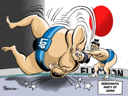 JAPAN SUMO-WRESTLING by Paresh Nath