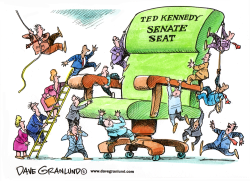 TED KENNEDY'S SENATE SEAT by Dave Granlund