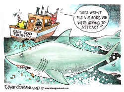 CAPE COD AND GREAT WHITE SHARKS by Dave Granlund