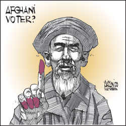AFGHANI ELECTION FRAUD by Terry Mosher