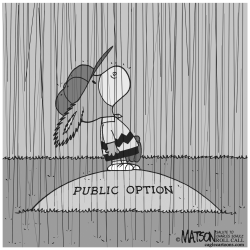 PUBLIC OPTION RAIN DELAY by R.J. Matson