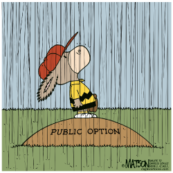 PUBLIC OPTION RAIN DELAY- by R.J. Matson