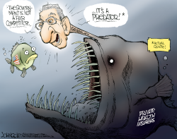 GRASSLEY AND THE INSURERS  by John Cole