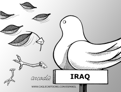 PEACE DOVE IN IRAQ by Arcadio Esquivel