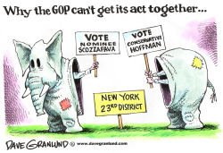 GOP AND NEW YORK 23RD DISTRICT by Dave Granlund