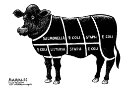 E COLI by Jimmy Margulies