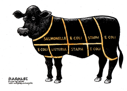 E COLI  by Jimmy Margulies
