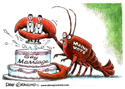 MAINE VOTES AGAINST GAY MARRIAGE by Dave Granlund