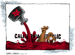 CALIFORNIA BUDGET RED INK  by Daryl Cagle