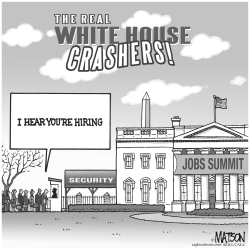 THE REAL WHITE HOUSE CRASHERS by R.J. Matson