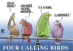 CLIMATEGATE BIRDS,  by Randy Bish