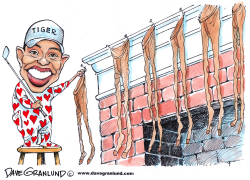 TIGER WOODS AT CHRISTMAS by Dave Granlund