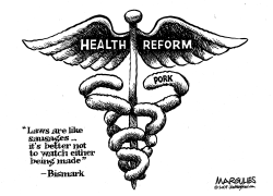 THE MAKING OF HEALTH REFORM by Jimmy Margulies