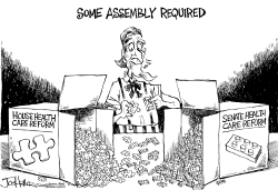 SOME ASSEMBLY by Joe Heller
