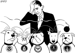 OBAMA, US SECURITY by Rainer Hachfeld
