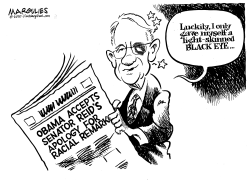 HARRY REID RACIAL REMARK by Jimmy Margulies