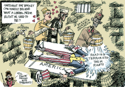 WATERBOARD OF FREEDOM by Pat Bagley