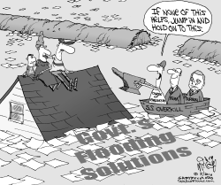 LOCAL IL-GOVT FLOODING SOLUTIONS by Gary McCoy