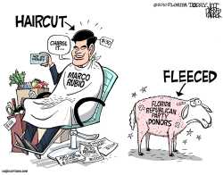 LOCAL FL BAD HAIR DAY FOR RUBIO  by Jeff Parker