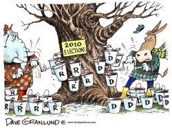 TAPPING INTO 2010 VOTERS by Dave Granlund