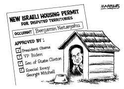 NEW ISRAELI HOUSING PERMIT by Jimmy Margulies