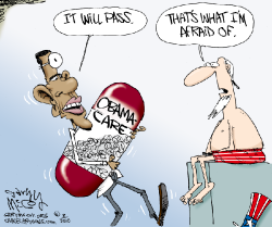 PASSING OBAMACARE  by Gary McCoy