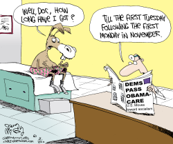 OBAMACARE PASSES  by Gary McCoy