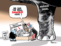 ELEPHANT IN MIDEAST ROOM by Paresh Nath
