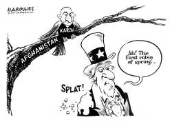 KARZAI DISSES US by Jimmy Margulies
