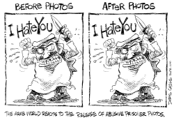 BEFORE AND AFTER PHOTOS by Daryl Cagle